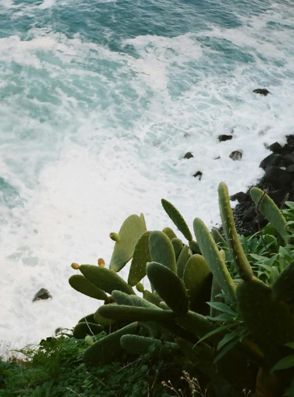 madeira ocean
