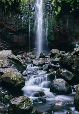 reizen madeira